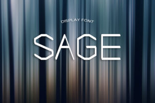 How Sage Font Became the Secret Weapon in My Campaign Visuals