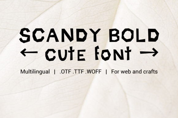 How Scandy Bold Transformed Our Brand’s Look—One Label at a Time