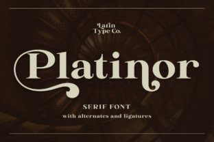 Platinor: Elevating Campaign Visuals with a Sophisticated Display Font