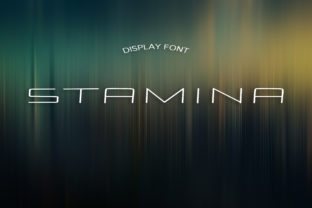 Stamina: A Sophisticated Display Font for Makers and Creative Sellers